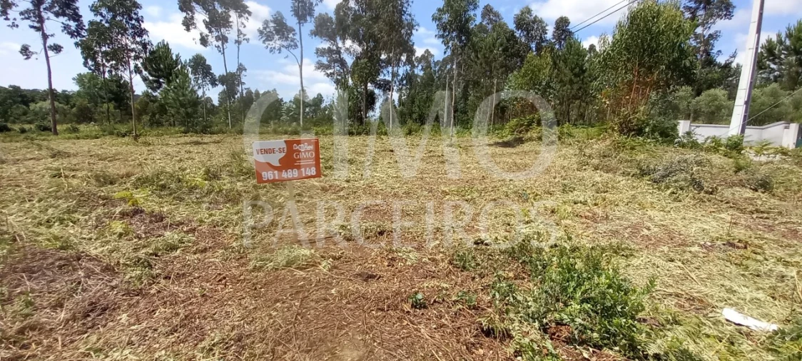 Terreno para Venda em Oliveira do Bairro Foto 11