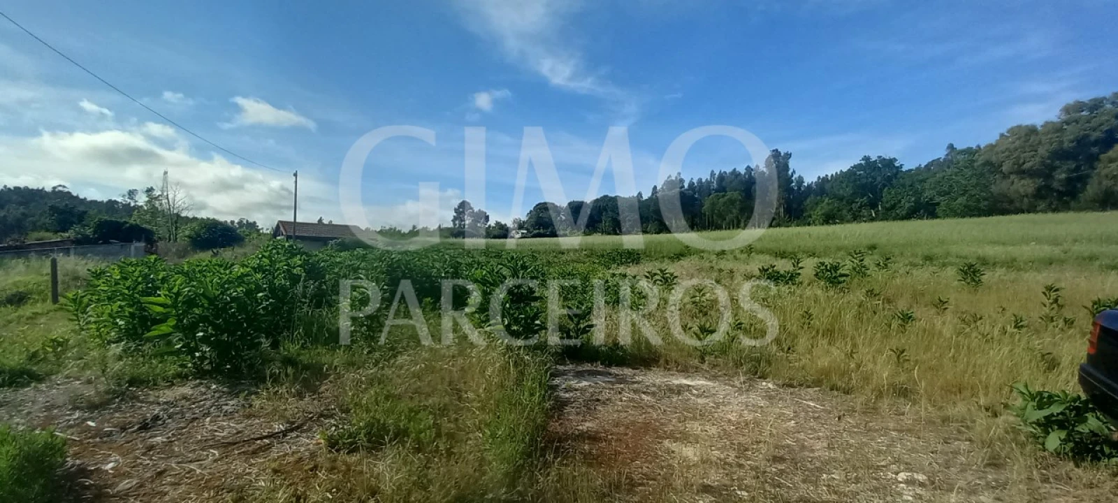 Terreno para Venda em Requeixo, Nossa Senhora de Fátima e Nariz Foto 2