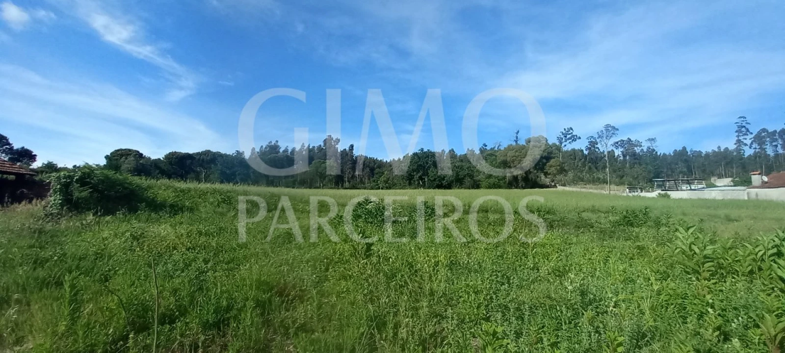 Terreno para Venda em Requeixo, Nossa Senhora de Fátima e Nariz Foto 3