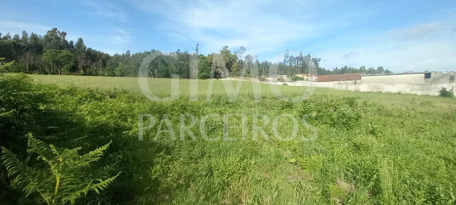 Terreno para Venda em Requeixo, Nossa Senhora de Fátima e Nariz Foto 4
