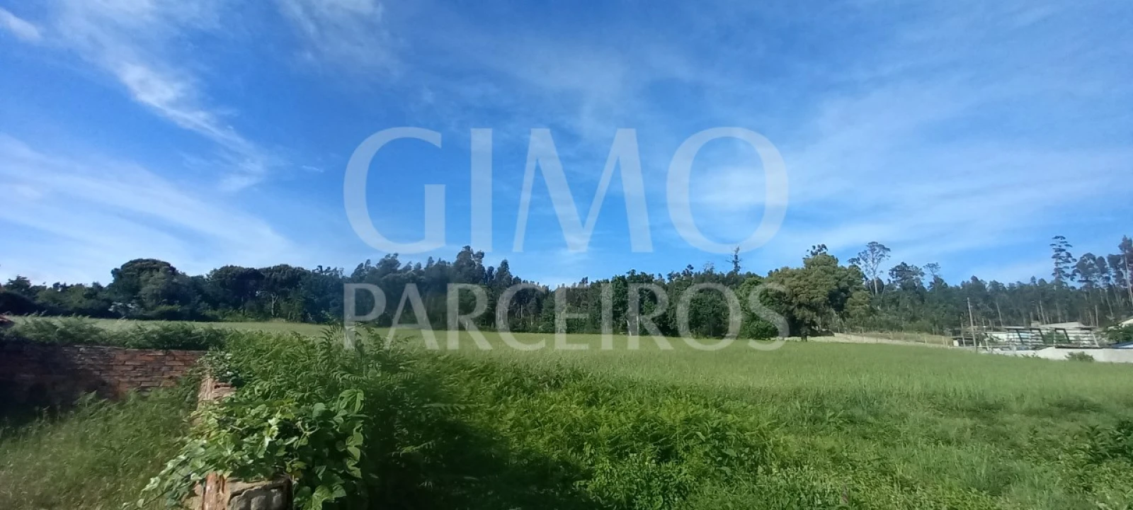 Terreno para Venda em Requeixo, Nossa Senhora de Fátima e Nariz Foto 5