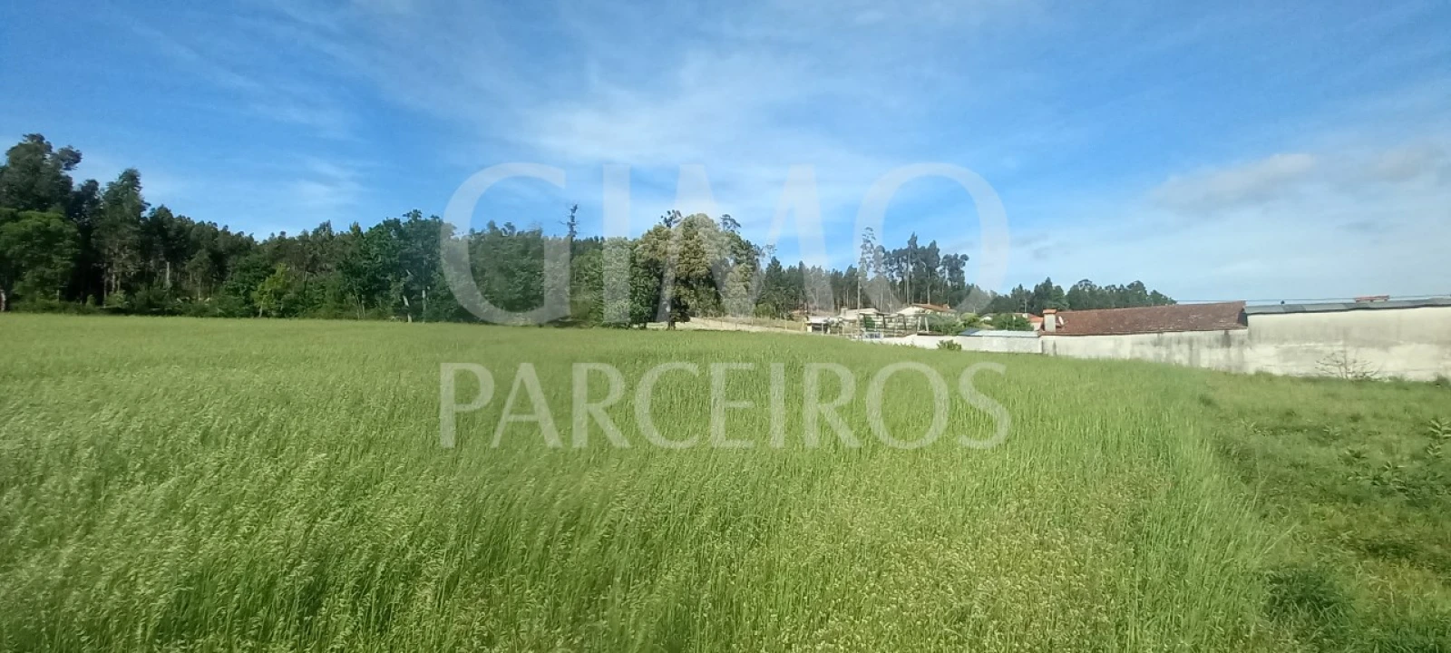 Terreno para Venda em Requeixo, Nossa Senhora de Fátima e Nariz Foto 7
