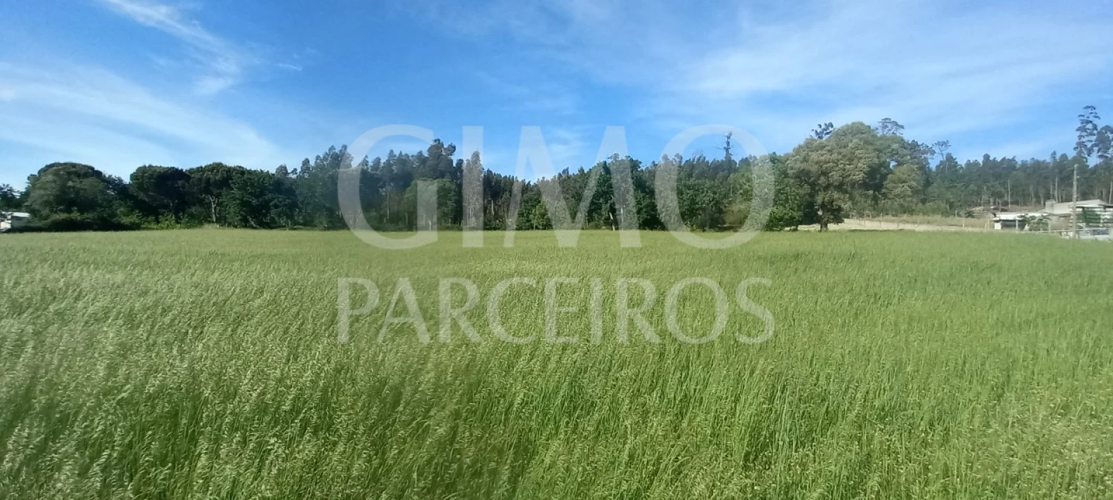Terreno para Venda em Requeixo, Nossa Senhora de Fátima e Nariz Foto 8