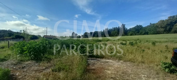 Terreno para Venda em Requeixo, Nossa Senhora de Fátima e Nariz