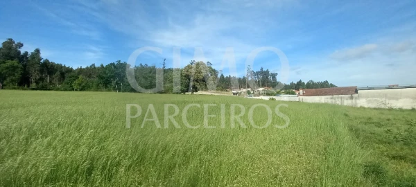 Terreno para Venda em Requeixo, Nossa Senhora de Fátima e Nariz