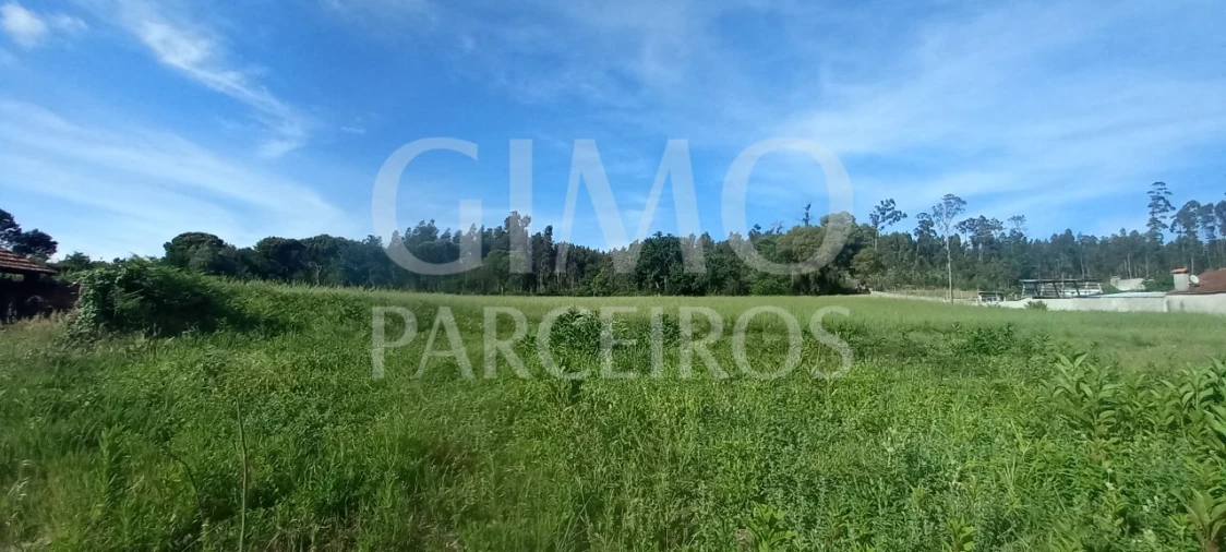 Terreno para Venda em Requeixo, Nossa Senhora de Fátima e Nariz Foto 3