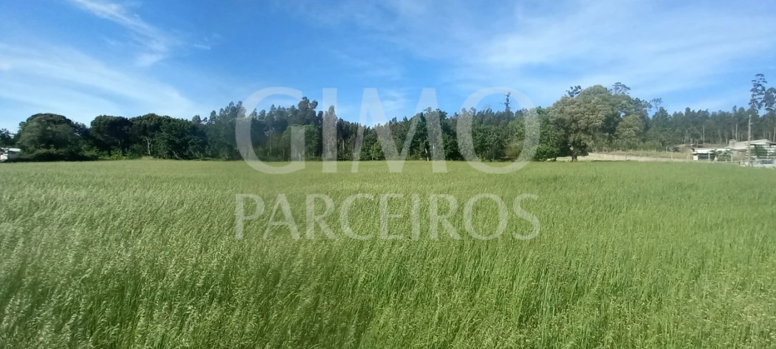 Terreno para Venda em Requeixo, Nossa Senhora de Fátima e Nariz Foto 8