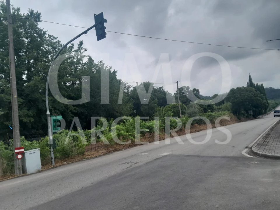 Terreno para Venda em Oiã Foto 1