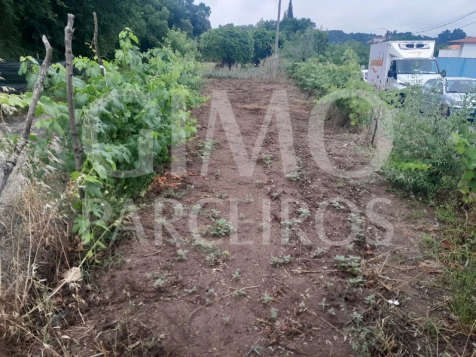 Terreno para Venda em Oiã Foto 2