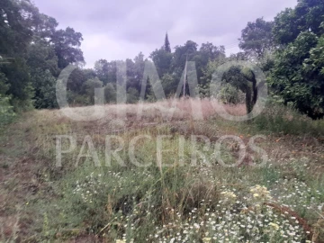 Terreno para Venda em Oiã