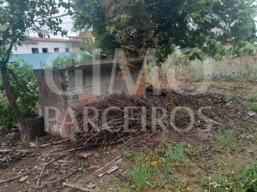 Terreno para Venda em Oiã