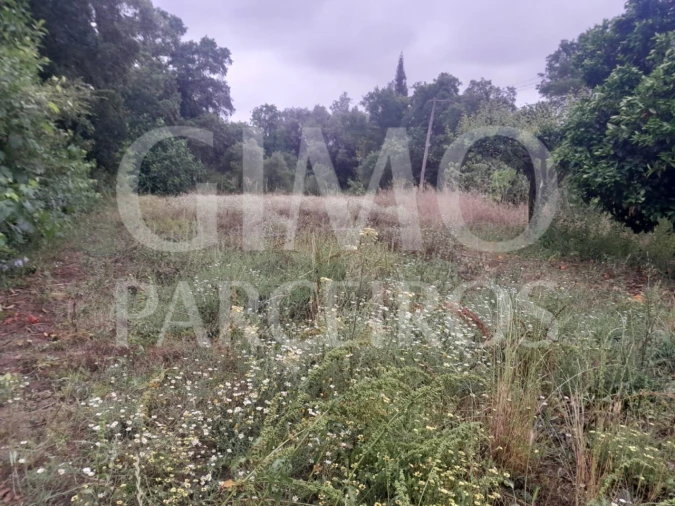 Terreno para Venda em Oiã Foto 4
