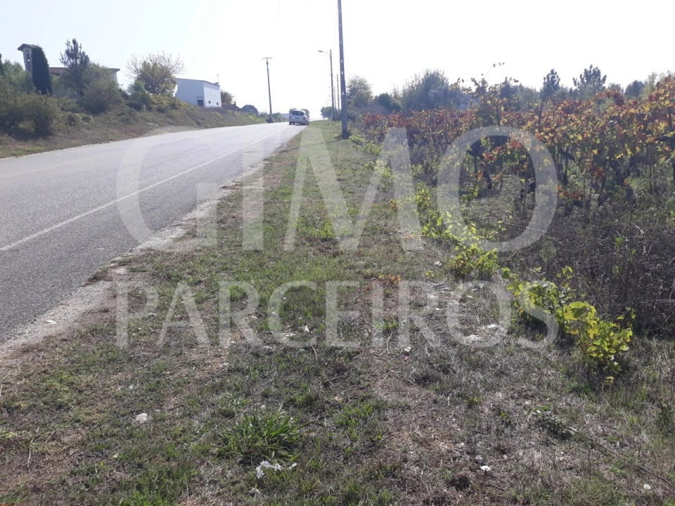 Terreno para Venda em Sangalhos Foto 18