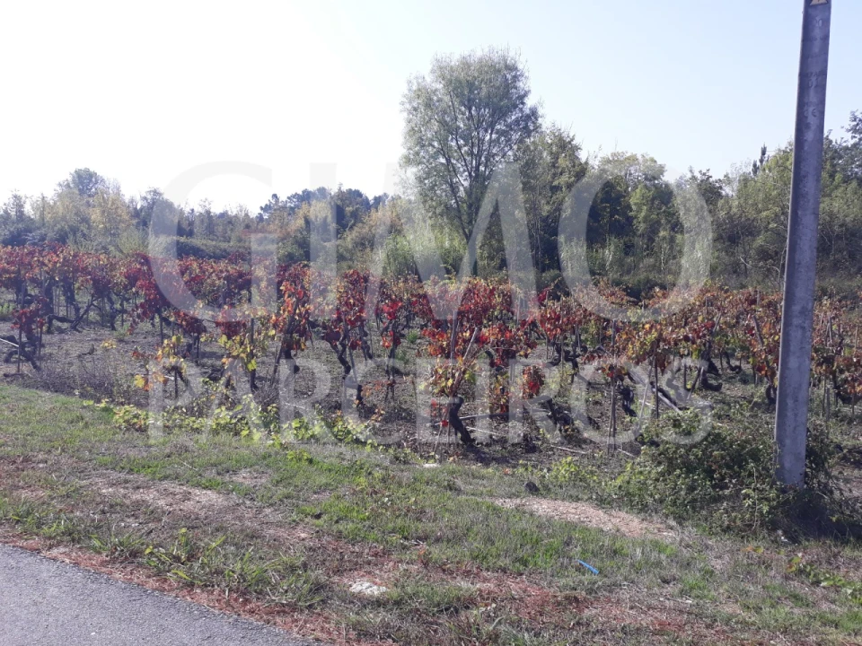 Terreno para Venda em Sangalhos Foto 19