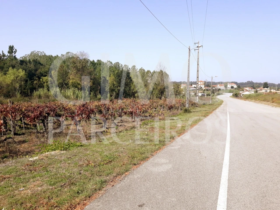 Terreno para Venda em Sangalhos Foto 26