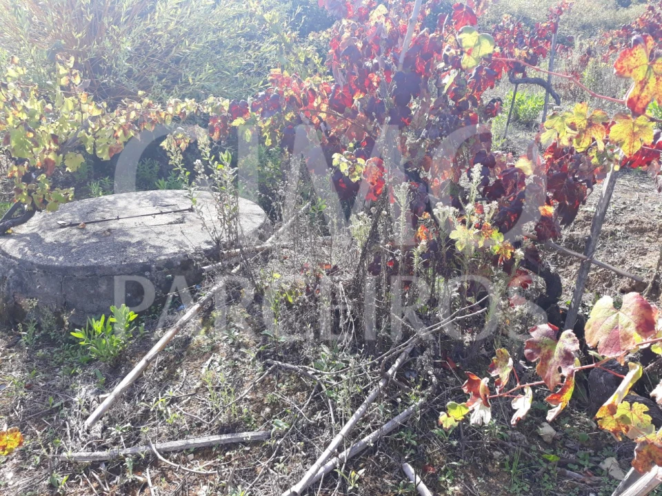 Terreno para Venda em Sangalhos Foto 25