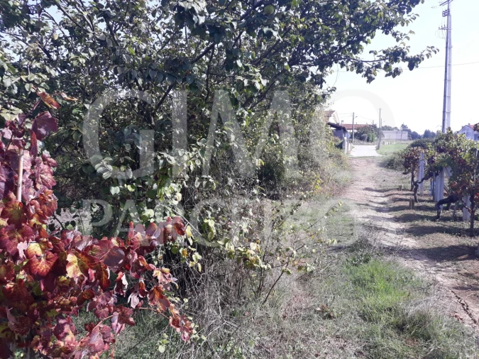 Terreno para Venda em Sangalhos Foto 15