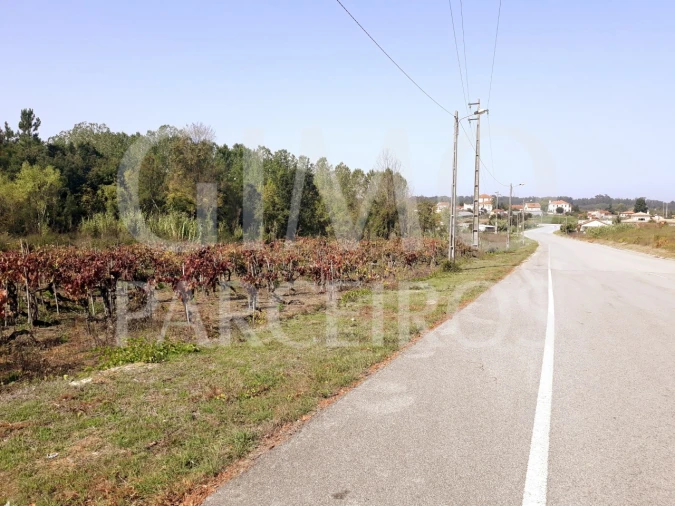 Terreno para Venda em Sangalhos Foto 26