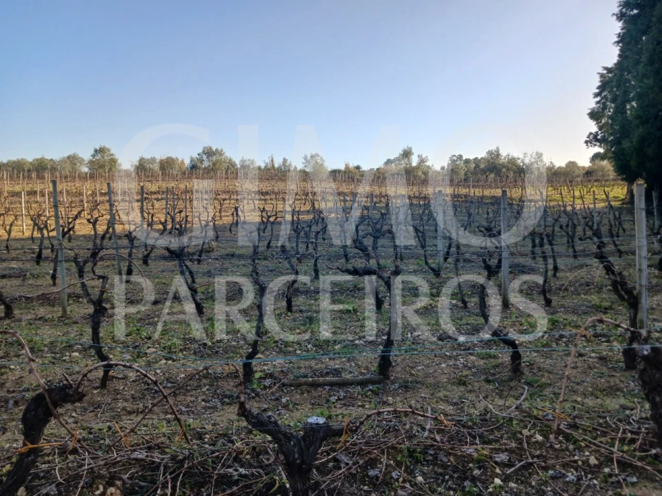 Terreno para Venda em Casal Comba Foto 7