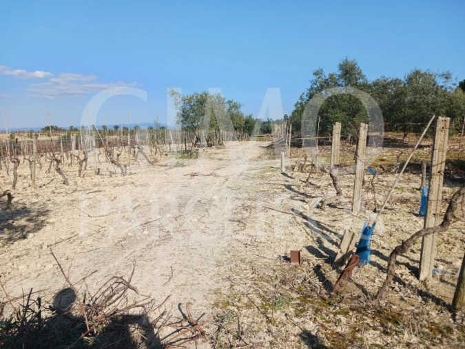 Terreno para Venda em Casal Comba Foto 12
