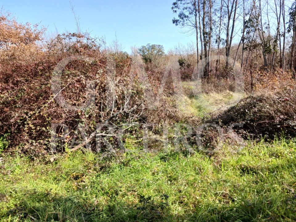 Terreno para Venda em Sangalhos Foto 2