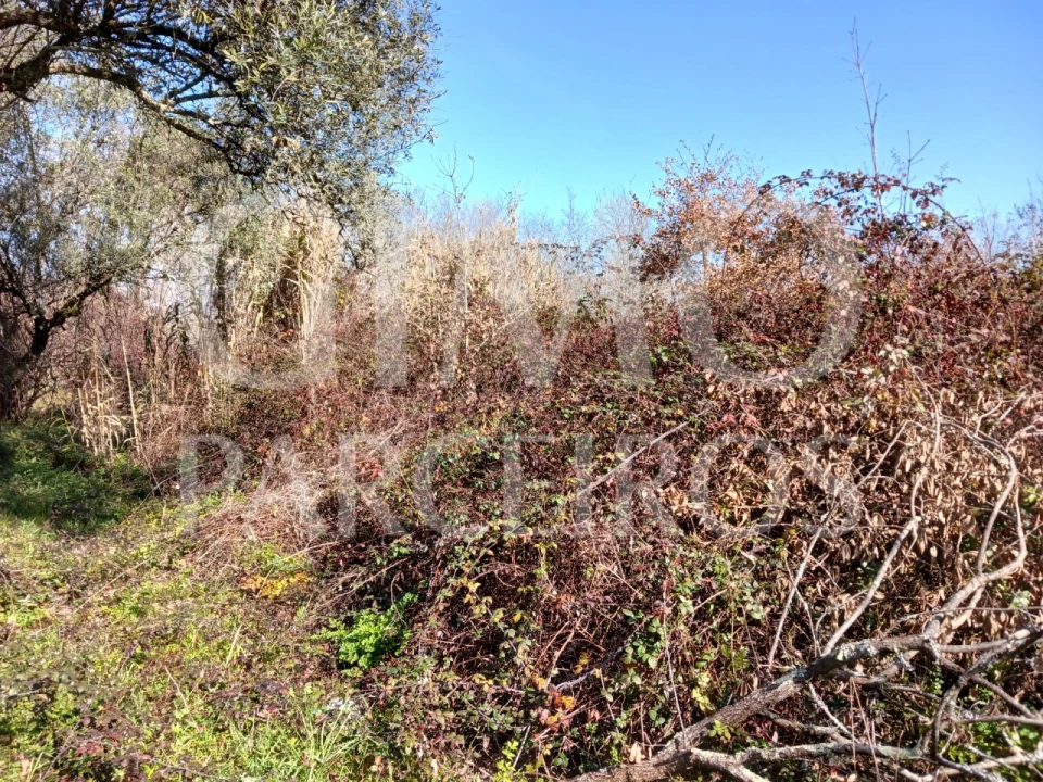 Terreno para Venda em Sangalhos Foto 4