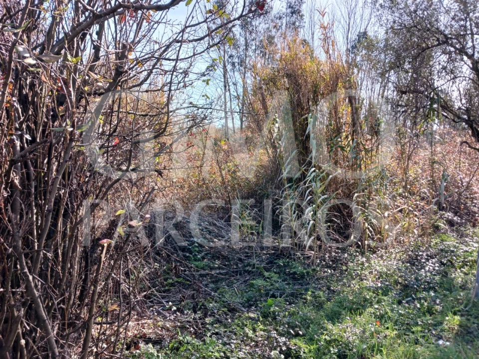 Terreno para Venda em Sangalhos Foto 6