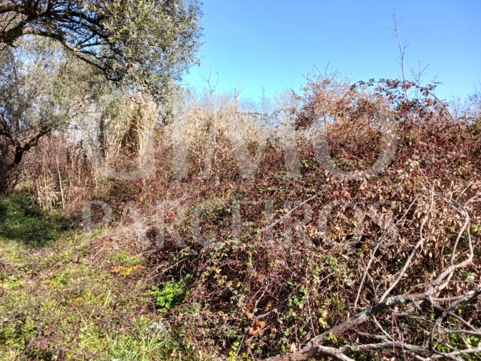 Terreno para Venda em Sangalhos Foto 4