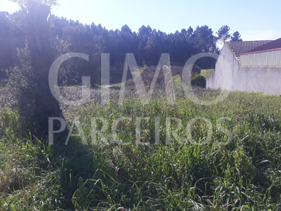 Terreno para Venda em Oliveira do Bairro Foto 3
