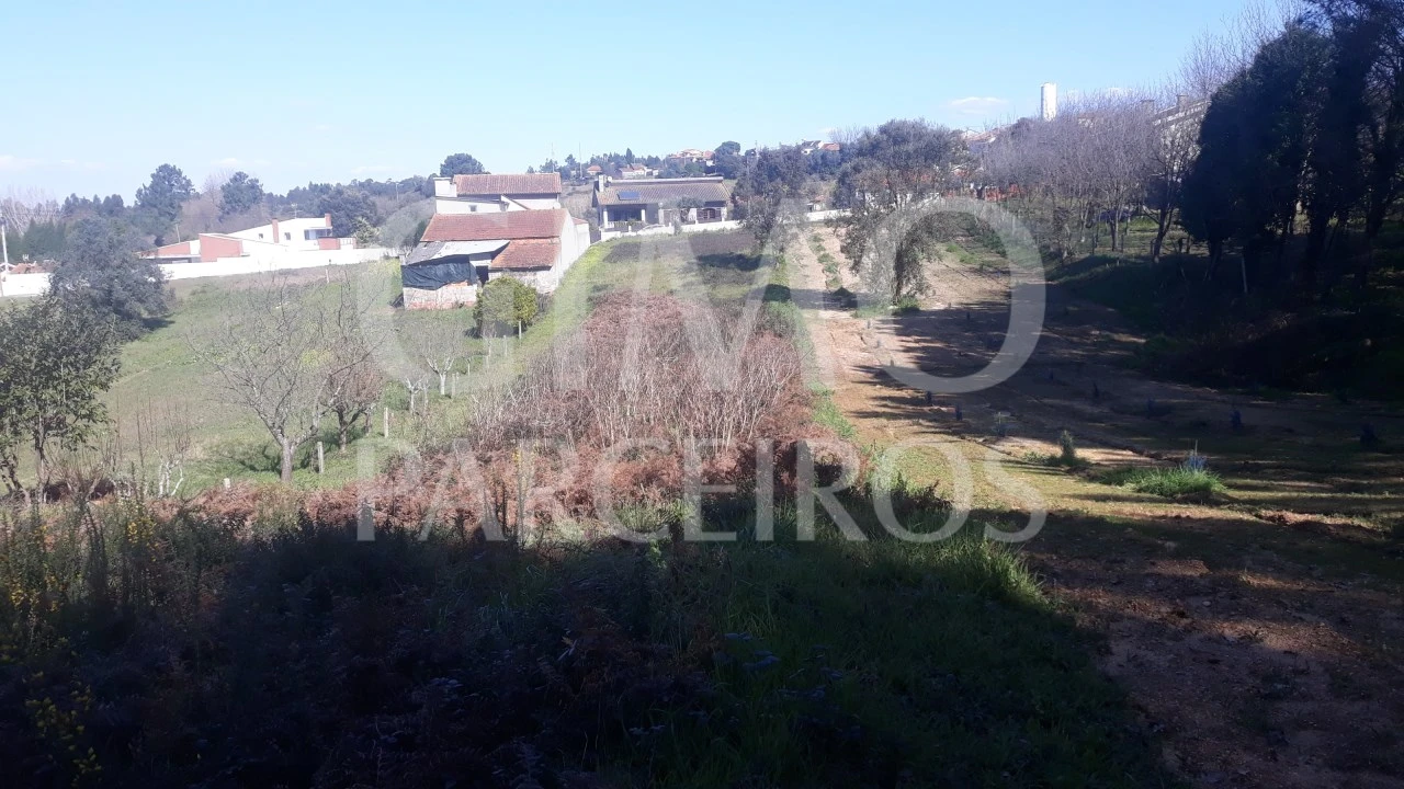 Terreno para Venda em Oliveira do Bairro Foto 4