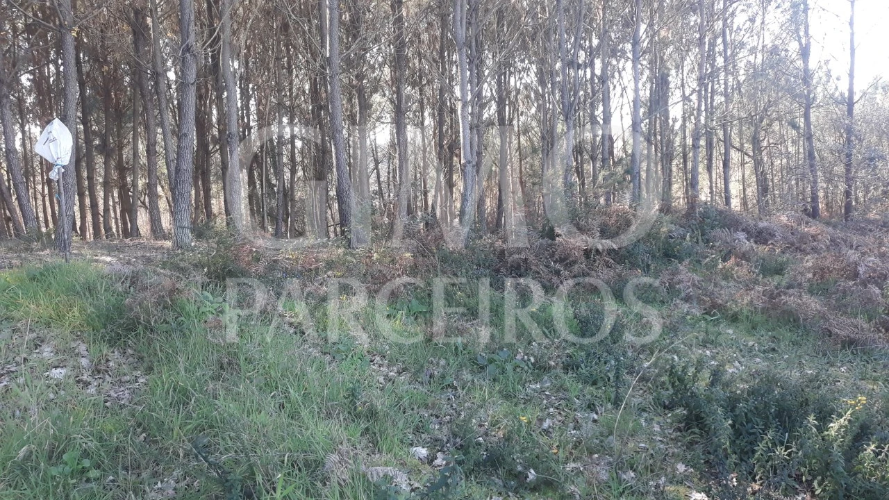 Terreno para Venda em Oliveira do Bairro Foto 9