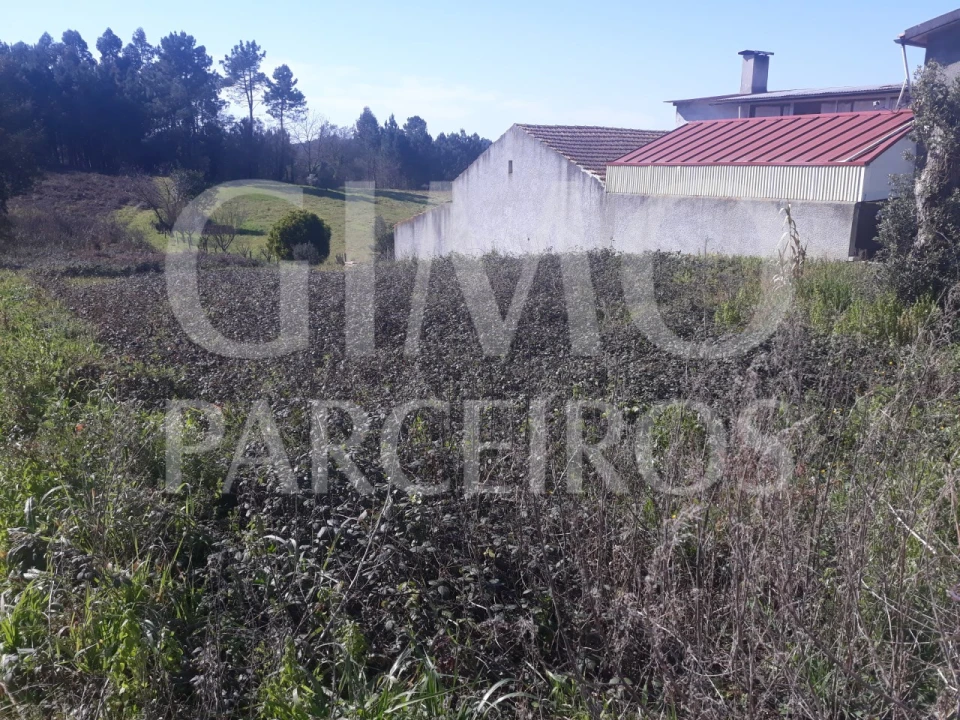 Terreno para Venda em Oliveira do Bairro Foto 11