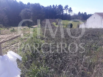 Terreno para Venda em Oliveira do Bairro