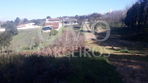 Terreno para Venda em Oliveira do Bairro
