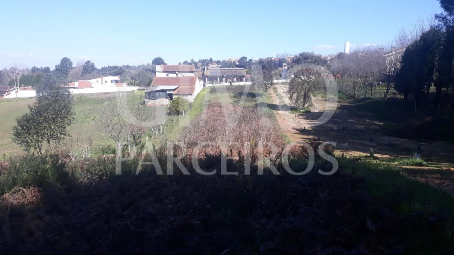 Terreno para Venda em Oliveira do Bairro Foto 10