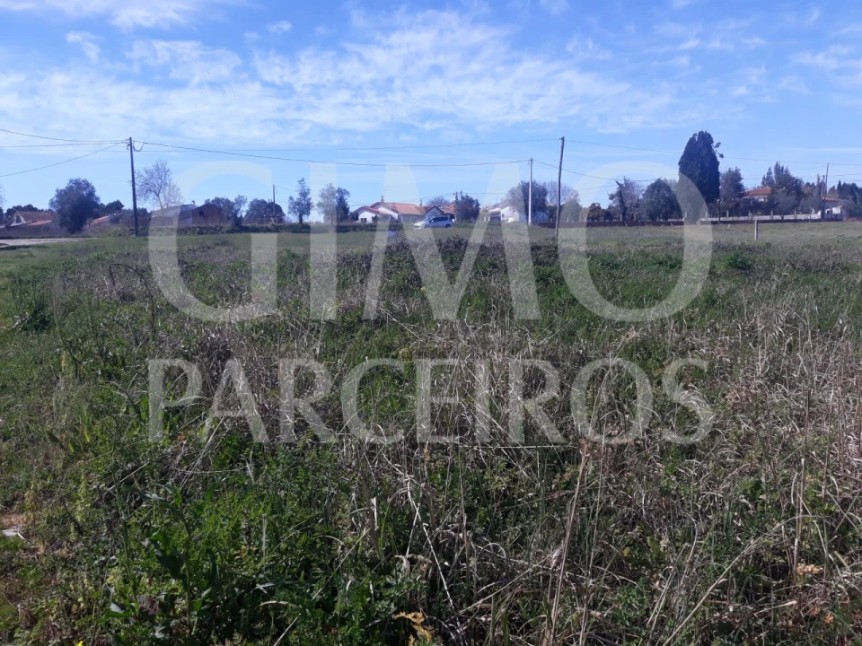 Terreno para Venda em Sangalhos Foto 6