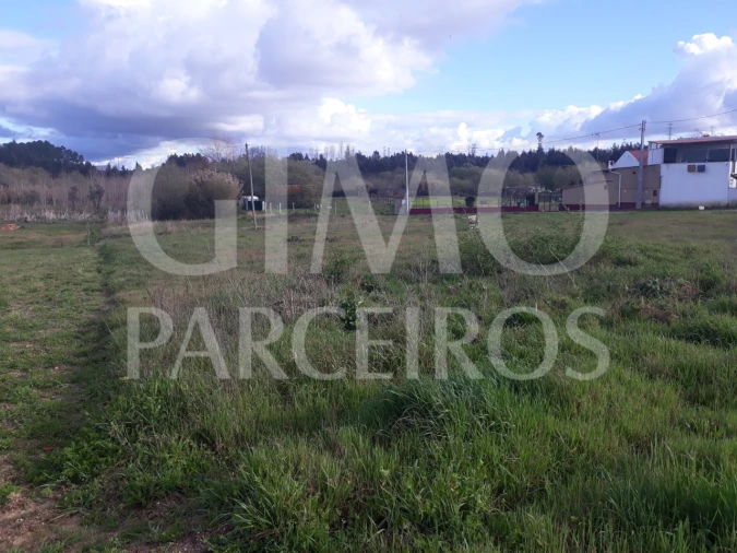 Terreno para Venda em Sangalhos Foto 3