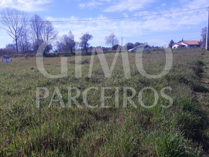 Terreno para Venda em Sangalhos Foto 5