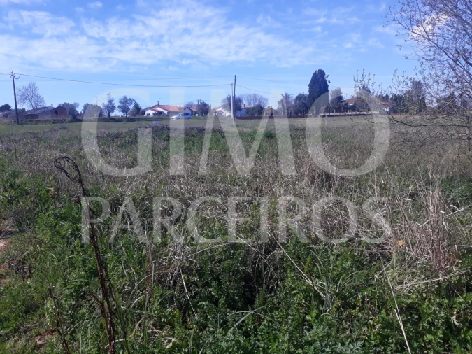 Terreno para Venda em Sangalhos Foto 8