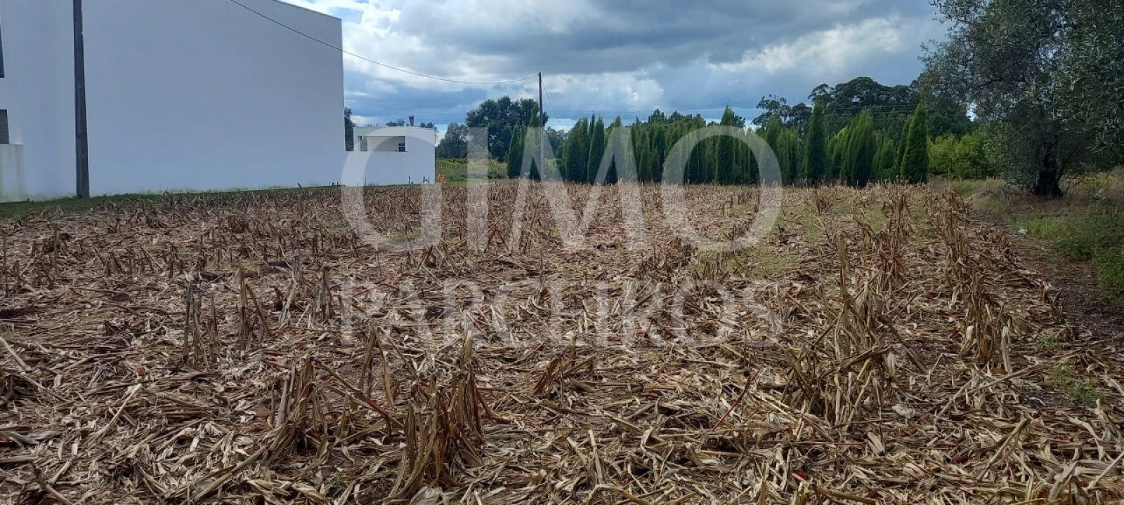 Terreno para Venda em Oiã Foto 1