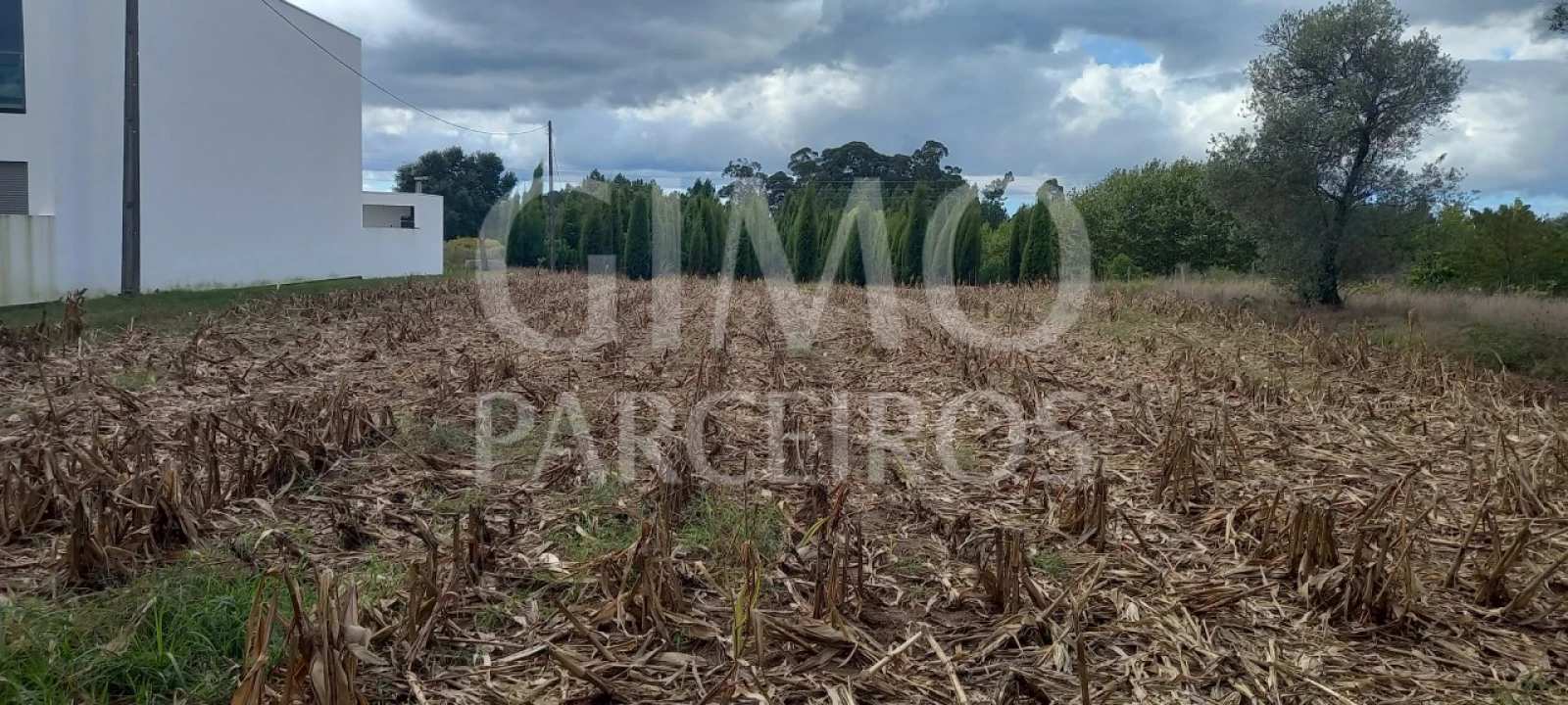 Terreno para Venda em Oiã Foto 2