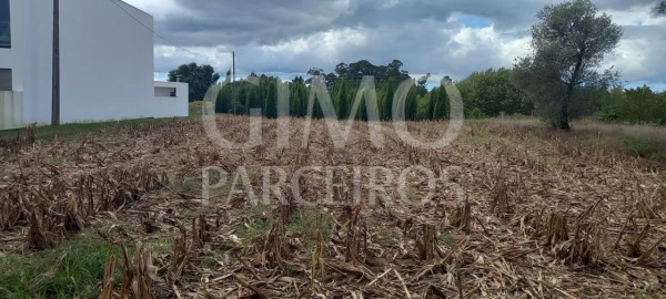 Terreno para Venda em Oiã
