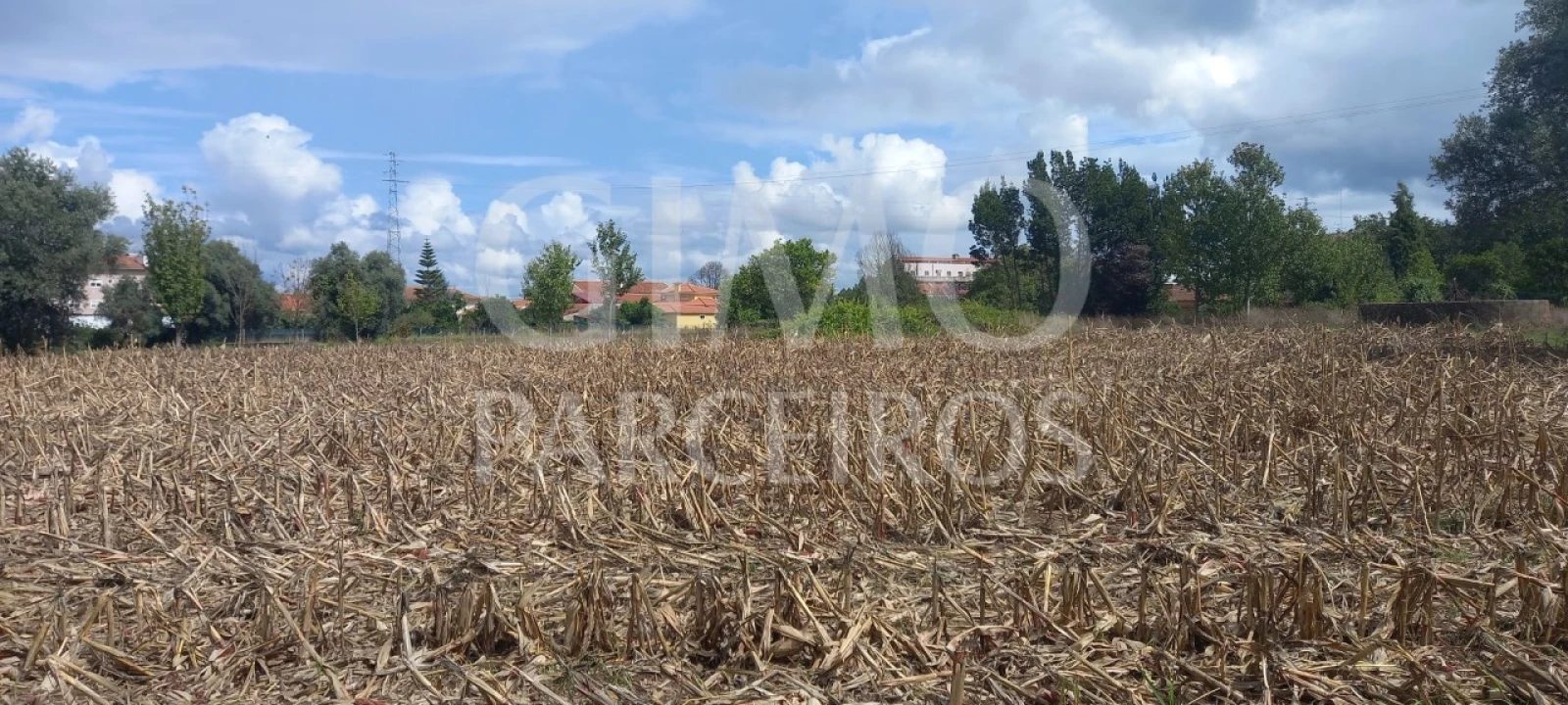 Terreno para Venda em Oiã Foto 2