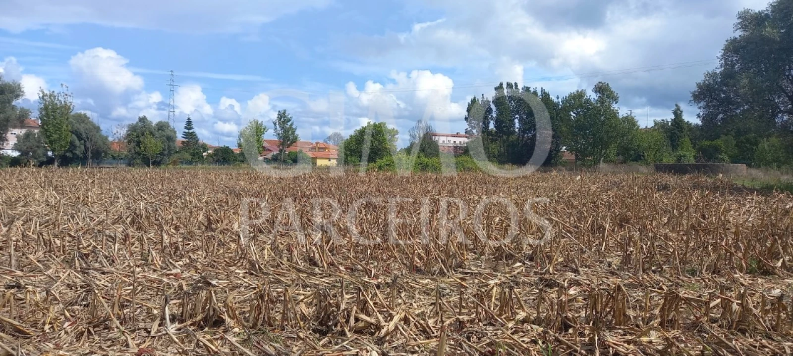 Terreno para Venda em Oiã Foto 3