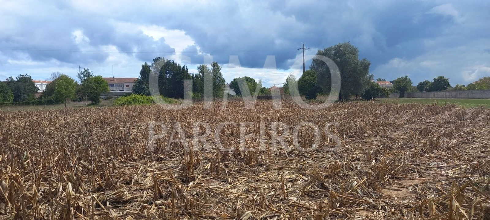 Terreno para Venda em Oiã Foto 4