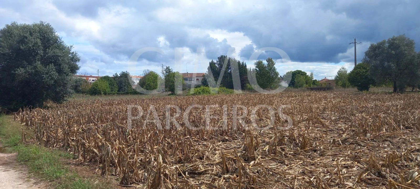 Terreno para Venda em Oiã Foto 5
