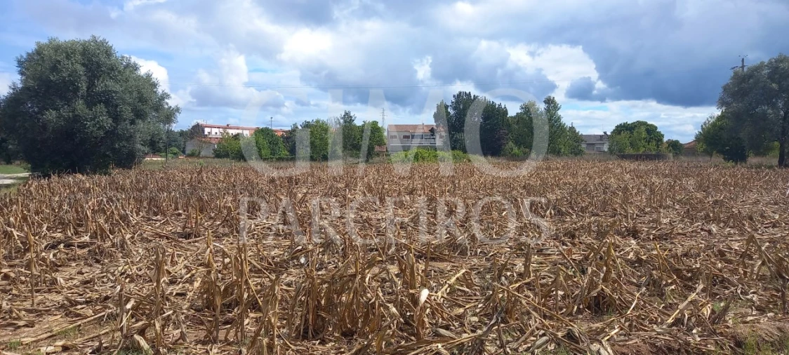 Terreno para Venda em Oiã
