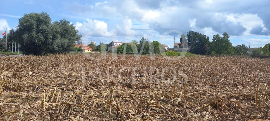 Terreno para Venda em Oiã Foto 7