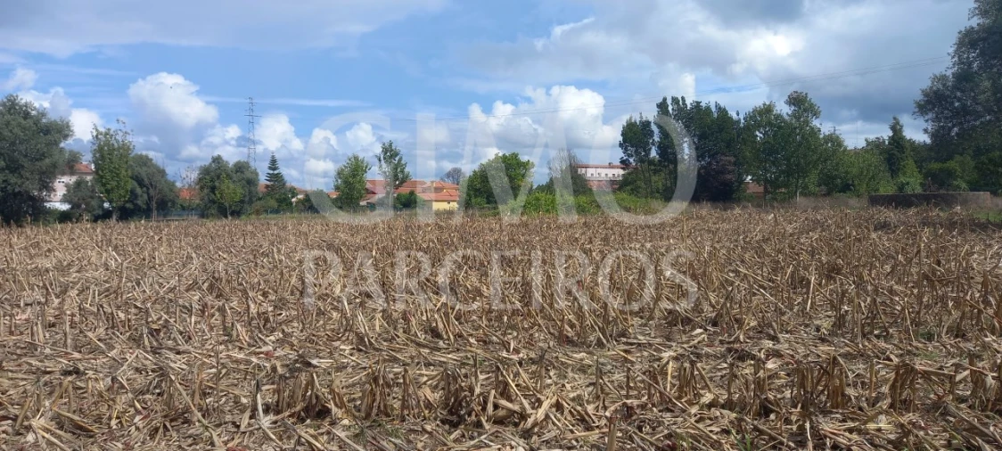 Terreno para Venda em Oiã Foto 8