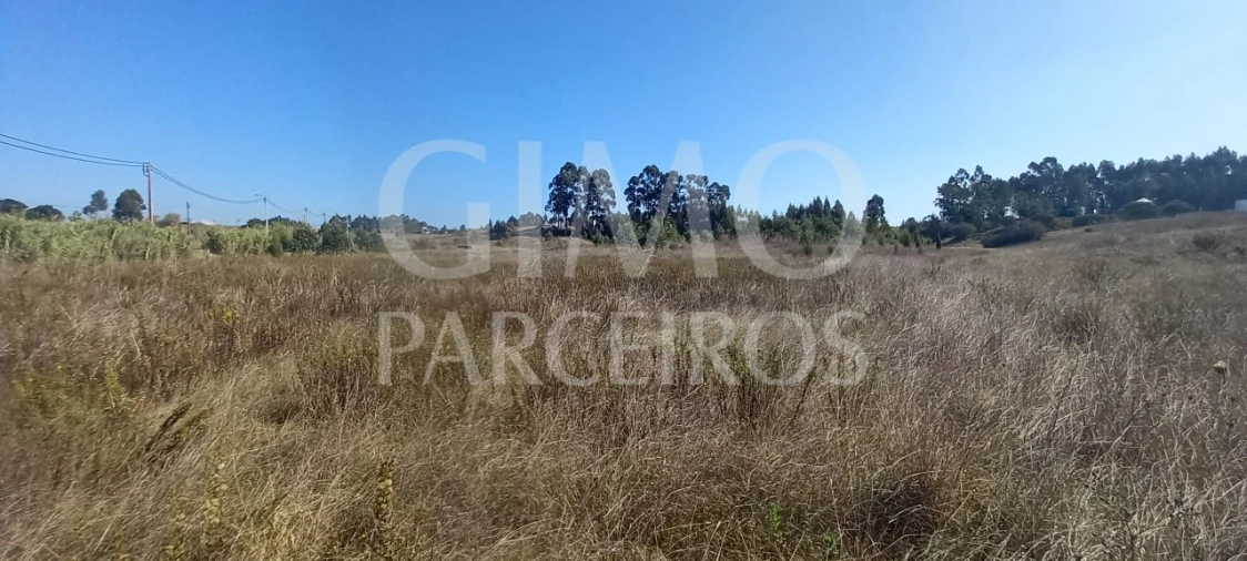 Terreno para Venda em Santo Andre de Vagos Foto 8